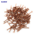 Hot Sale Head Flat Copper Clout Nails